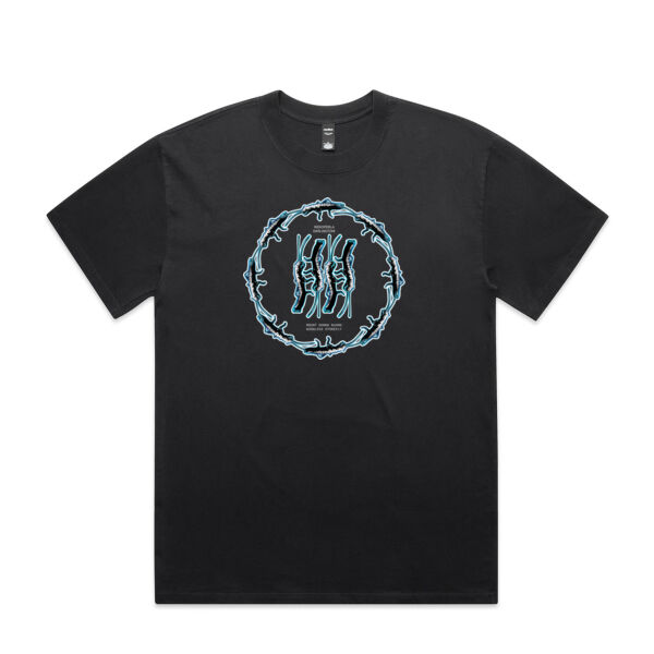 Mount Donna Buang Wingless Stonefly  Thumbnail